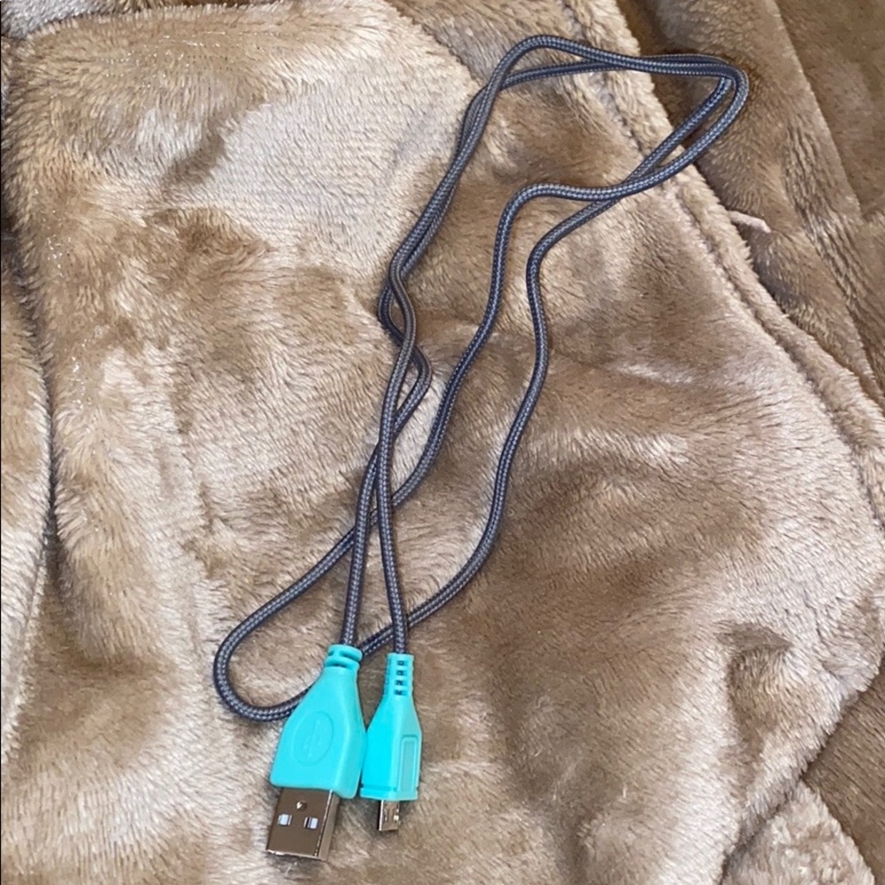 Mint Colored Charger